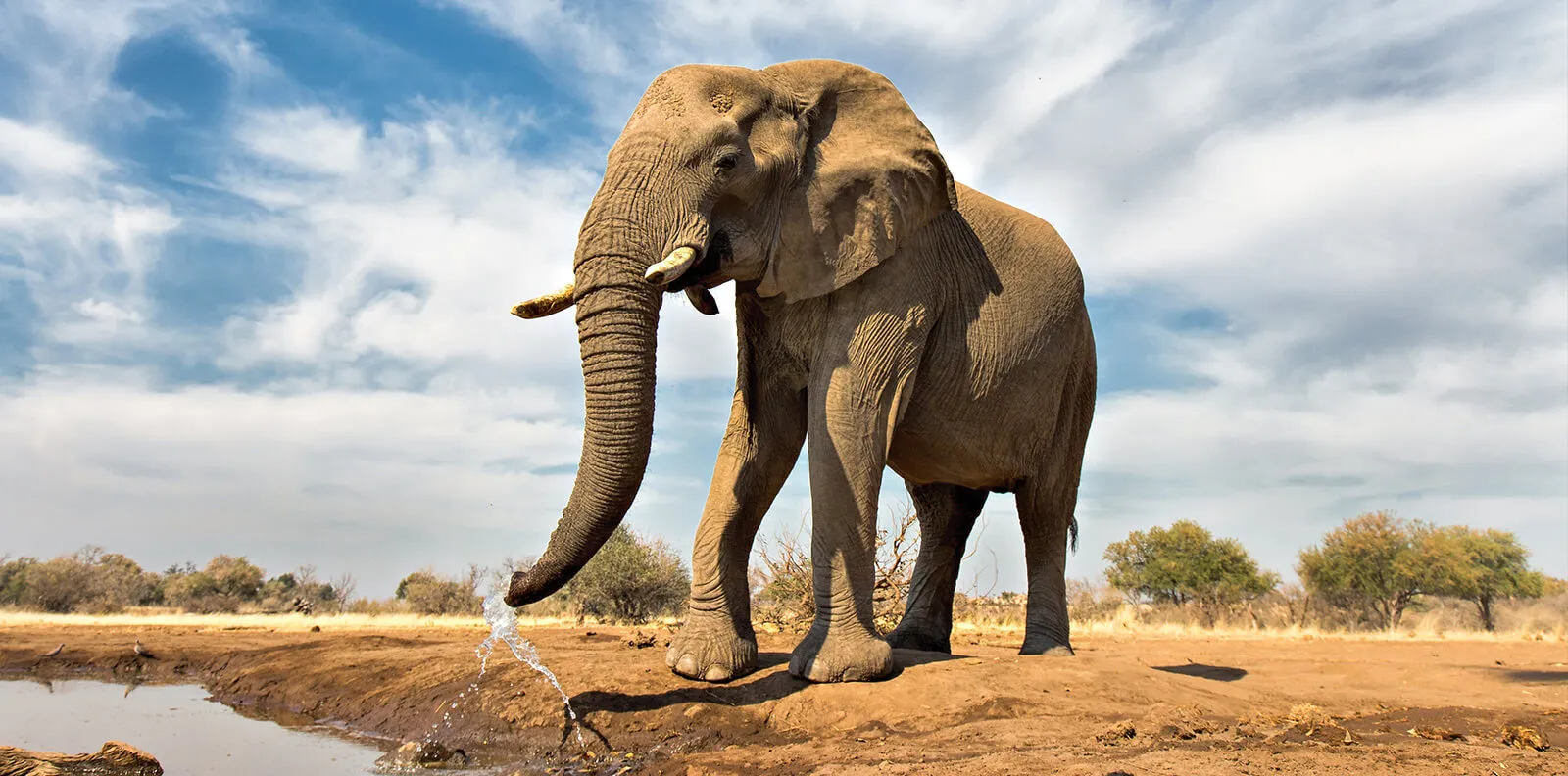 Neuigkeiten rausposaunen - Newsservice